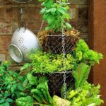 Hanging Basket Herb Garden