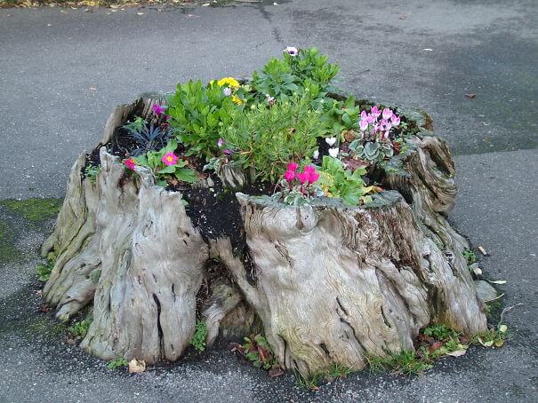 Old Tree Stump Flower Garden Idea