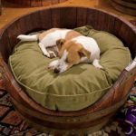 Wine Barrel Pet Bed