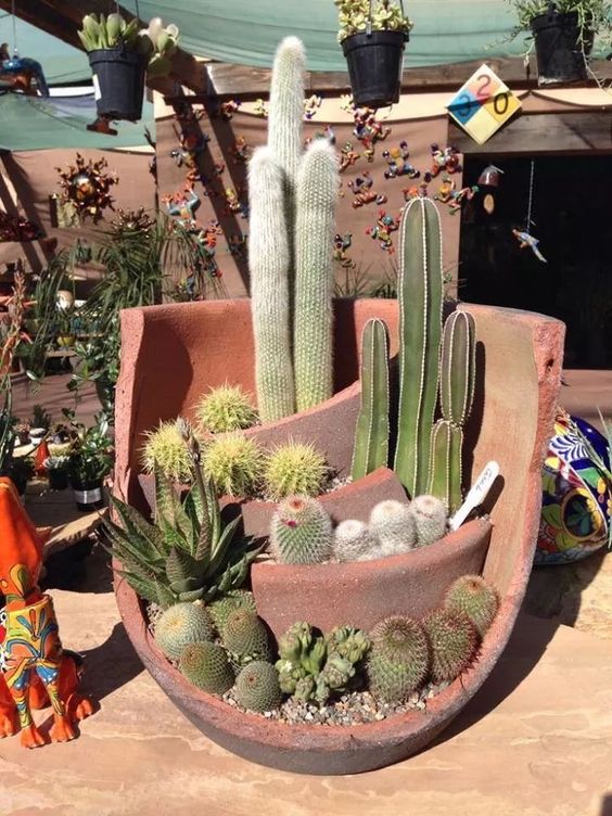 Awesome Cactus Pot