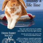 Donate Your Car Or Boat To House Rabbit Society