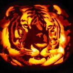 Tiger Pumpkin