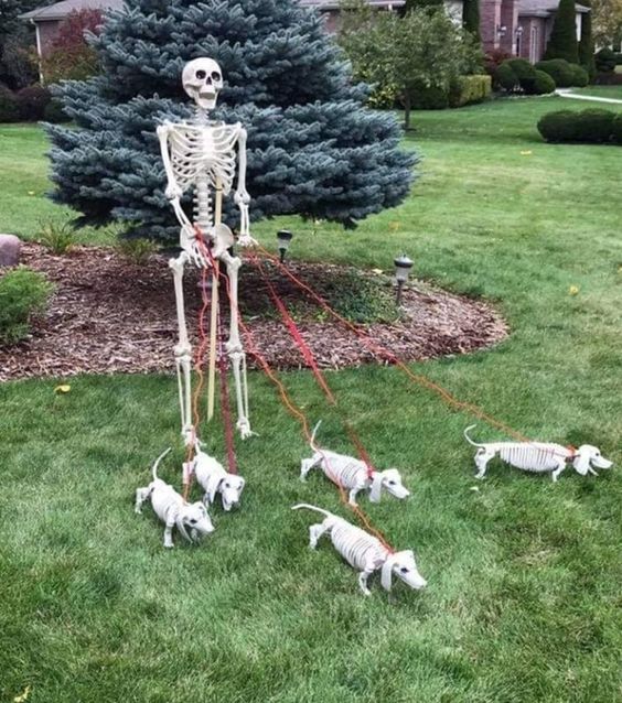 Skeleton Walking Dog Halloween Decoration